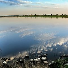 фото "Тройственный союз... :)-"