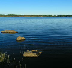 фото "Покой"