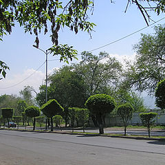 photo "Almaty (2005) - Green geometry"