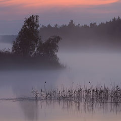 фото "утро"