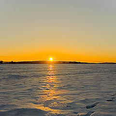 photo "remember the frost! :)"