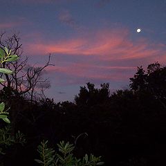 photo "Perpendicular moonrise"