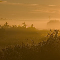 photo "At a dawn.."