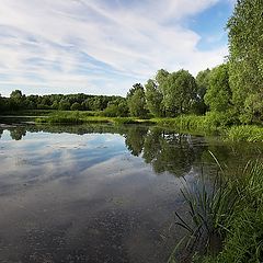 фото "Озеро / Серебрянный Бор"