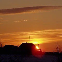 photo "Against the sun"