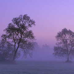 photo "Endless Dreamy World"