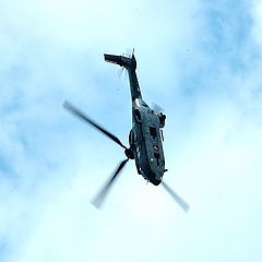 photo "Blackhawk down?"