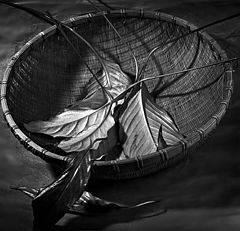 фото "Leaves in a basket"