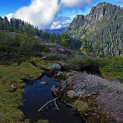 фото "Northwest Landscape"