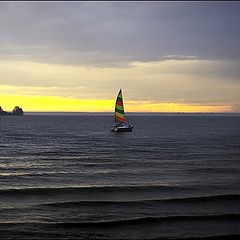 photo "sailing to the sunset"