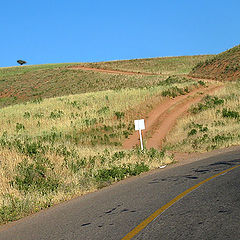 photo "The Roads"