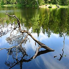 photo "Karelia. Valaam island."