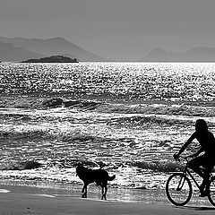 photo "Beach of Silveira"