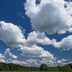 фото "Human Clouds"