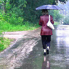 photo "Regen"