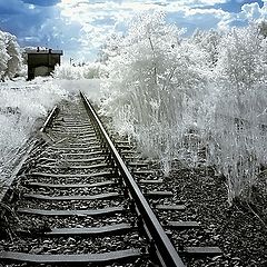 фото "...interrupted journey"
