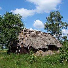 photo "Barn in the summer"