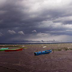 фото "Радуга"