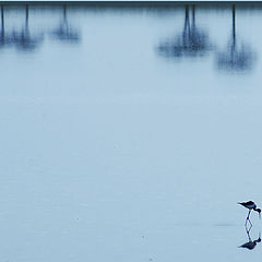 фото "Serengeti lake"