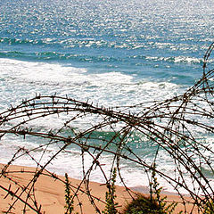 фото "Сектор Газа-16.20-Пограничная полоса"