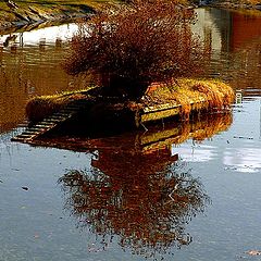 фото "Ducks Residence"