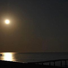 photo "Full Moon"