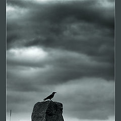 photo "Gloomy landscape ..."