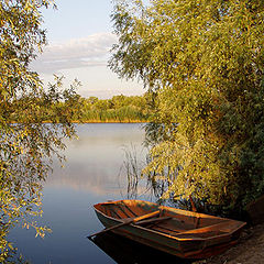 photo "River fairy tale"