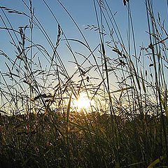 photo "Country Sunset"