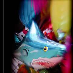 photo "Not malicious, but a hungry shark..."