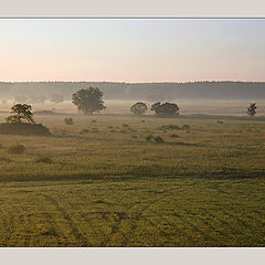 photo "morning foggy..."