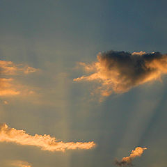 photo "Angels walk"