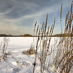 фото "Riverbank"