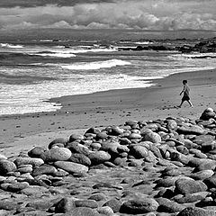 photo "Boy on the Beach"