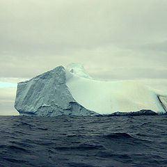 photo "Sea Sculpture"