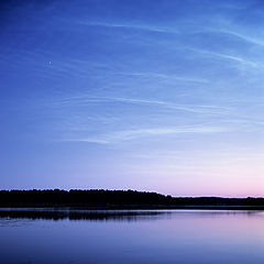 photo "NLC"