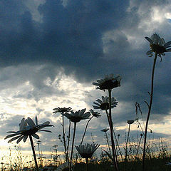 photo "Pilgrims"