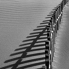 photo "Dune fence"