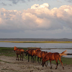 photo "Kenosero evening"