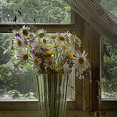 photo "Wood bouquet. Part I. Con brio."