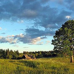 фото "На закате"