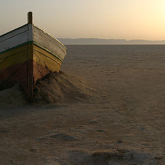 photo "Sand Cruiser"