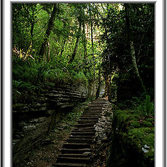 photo "Track of a stone labyrinth"