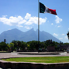 photo "&#161;VIVE MEXICO!"