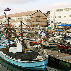 photo "Fishing port in Yaffo"