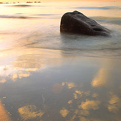 photo "Reflection"