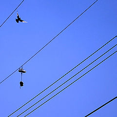 photo "Basket-ball shoes and an Eagle"