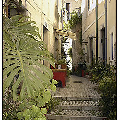 фото "Alfama 5 - Steps on narrow street"