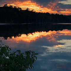 photo "Absolutly Summer Evening"