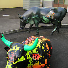 photo "Psychodelic Cows"